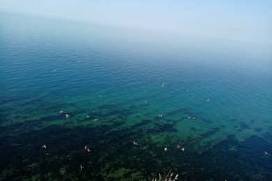 Предлагаем к продаже   двухэтажный гостевой дом в городе Анапа, общей площадью 280 м² , по ул.Магнолии д. 8, напрямую от собственника._26