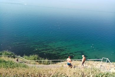 Предлагаем к продаже   двухэтажный гостевой дом в городе Анапа, общей площадью 280 м² , по ул.Магнолии д. 8, напрямую от собственника._6