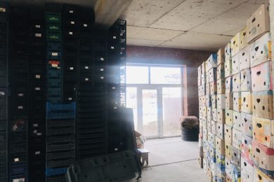 Предлагаем к аренде помещение свободного назначения, площадью 600 м², ул. Ефремова д.301, напрямую от собственника._5