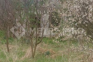 Продам зем.участок со строением. 30 соток_1