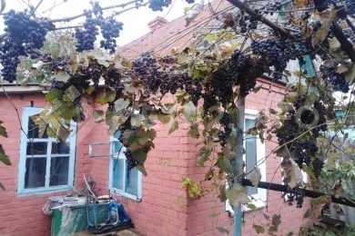 ПРЕДЛАГАЕМ К ПРОДАЖЕ ДОМ В СТ. БЕССКОРБНАЯ НА ПРЯМУЮ ОТ СОБСТВЕННИКА._0