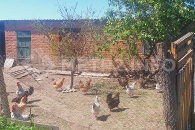 ПРЕДЛАГАЕМ К ПРОДАЖЕ ДОМ В СТ. БЕССКОРБНАЯ НА ПРЯМУЮ ОТ СОБСТВЕННИКА._17