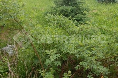 ПРЕДЛАГАЕМ К ПРОДАЖЕ ДОМ В ПОС. ЗАВЕТНЫЙ НА ПРЯМУЮ ОТ СОБСТВЕННИКА._39