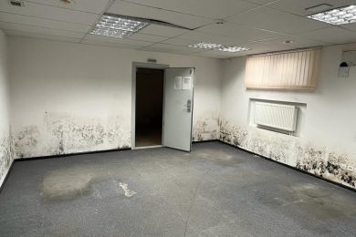 Предлагаем к аренде помещение свободного назначения, площадью 656 м² по ул. Ленина 219, р-н Ленинский  , напрямую от собственника._21