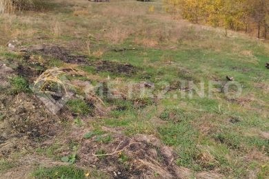 ПРЕДЛАГАЕМ К ПРОДАЖЕ ЗЕМЕЬНЫЙ УЧАСТОК 10 СОТОК._3