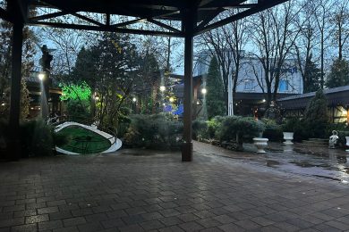 Предлагаем к продаже ресторан «Астория», расположенный по ул. Ленина, д.88 А, общей площадью 1064,8 м² на земельном участке 3232 м² на прямую от собственника._58