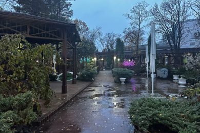 Предлагаем к продаже ресторан «Астория», расположенный по ул. Ленина, д.88 А, общей площадью 1064,8 м² на земельном участке 3232 м² на прямую от собственника._60