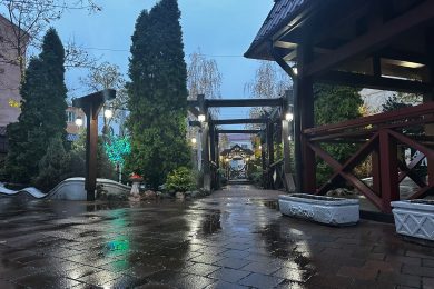 Предлагаем к продаже ресторан «Астория», расположенный по ул. Ленина, д.88 А, общей площадью 1064,8 м² на земельном участке 3232 м² на прямую от собственника._61