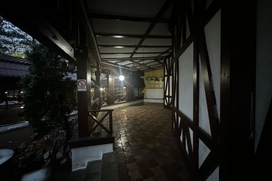 Предлагаем к продаже ресторан «Астория», расположенный по ул. Ленина, д.88 А, общей площадью 1064,8 м² на земельном участке 3232 м² на прямую от собственника._62