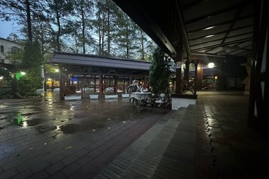 Предлагаем к продаже ресторан «Астория», расположенный по ул. Ленина, д.88 А, общей площадью 1064,8 м² на земельном участке 3232 м² на прямую от собственника._63