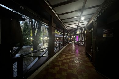 Предлагаем к продаже ресторан «Астория», расположенный по ул. Ленина, д.88 А, общей площадью 1064,8 м² на земельном участке 3232 м² на прямую от собственника._64