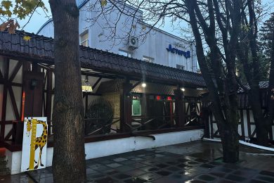 Предлагаем к продаже ресторан «Астория», расположенный по ул. Ленина, д.88 А, общей площадью 1064,8 м² на земельном участке 3232 м² на прямую от собственника._53