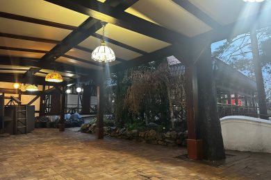 Предлагаем к продаже ресторан «Астория», расположенный по ул. Ленина, д.88 А, общей площадью 1064,8 м² на земельном участке 3232 м² на прямую от собственника._56