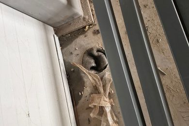 Предлагаем к аренде в торговом центре площади 120 м², пос. Дружелюбный, напрямую от Собственника._13