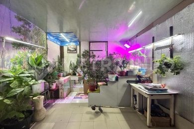 Предлагаем к продаже дом в Усть-Лабинском р-н, Ладожское сельское поселение, станица Ладожская, Первомайская ул., 23, общая площадь дома 110 м², на земельном участке 23сот. Напрямую от Собственника._16