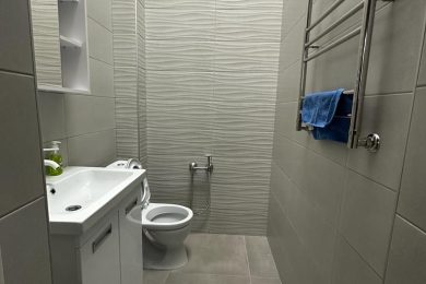 Предлагаем к аренде помещение свободного назначения на первом этаже, общей площадью 291 м², по ул. 50 лет ВЛКСМ, 15А, напрямую от Собственника._5