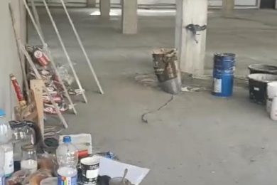 Предлагаем к аренде часть торгового помещения площадью 200 м² от общей площади 450 м² на 2ом этаже, по ул. Школьная д. 62. Напрямую от Собственника._4