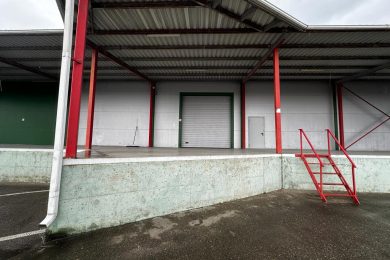 Предлагаем к аренде складское помещение на охраняемой территории общей площадью 1200 м² поделенное по полам 600 м². Напрямую от Собственника._16