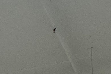 Предлагаем к аренде помещение свободного назначения на 2-ом этаже, общей площадью 1000 м², по ул. Сиверса 12 Е. Напрямую от Собственника._6