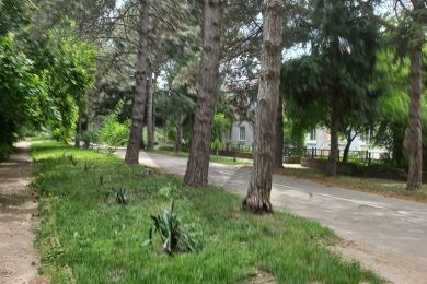 ПРЕДЛАГАЕМ К ПРОДАЖЕ 1 КОМНАТНУЮ КВАРТИРУ В ПОС. КНИИТИМ НОВОКУБАНСКОГО РАЙОНА._6