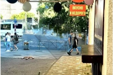 Предлагаем к аренде торговое помещение площадью 45 м² по ул. имени П.М. Гаврилова, 115, напрямую от Собственника._1