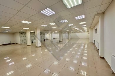 Предлагаем к аренде помещение свободного назначения в цокольном этаже общей площадью 760 м², по ул. Московская д.137, напрямую от собственника._9