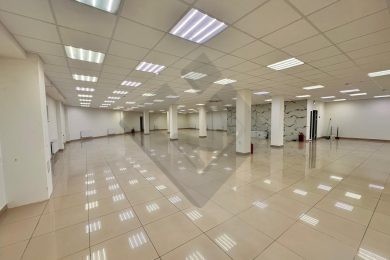 Предлагаем к аренде помещение свободного назначения в цокольном этаже общей площадью 760 м², по ул. Московская д.137, напрямую от собственника._10